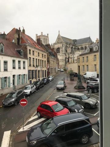 Les Dames Au Chapeau Vert Saint-Omer  Exterior foto